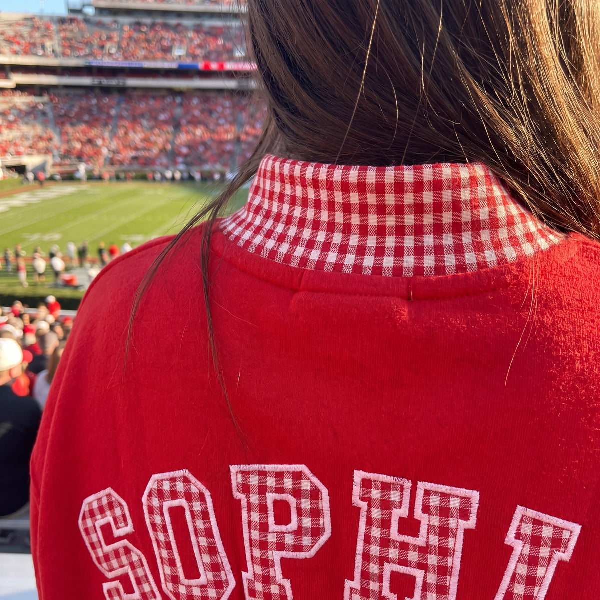 Colleges Mascot Appliqué Gingham Mockneck