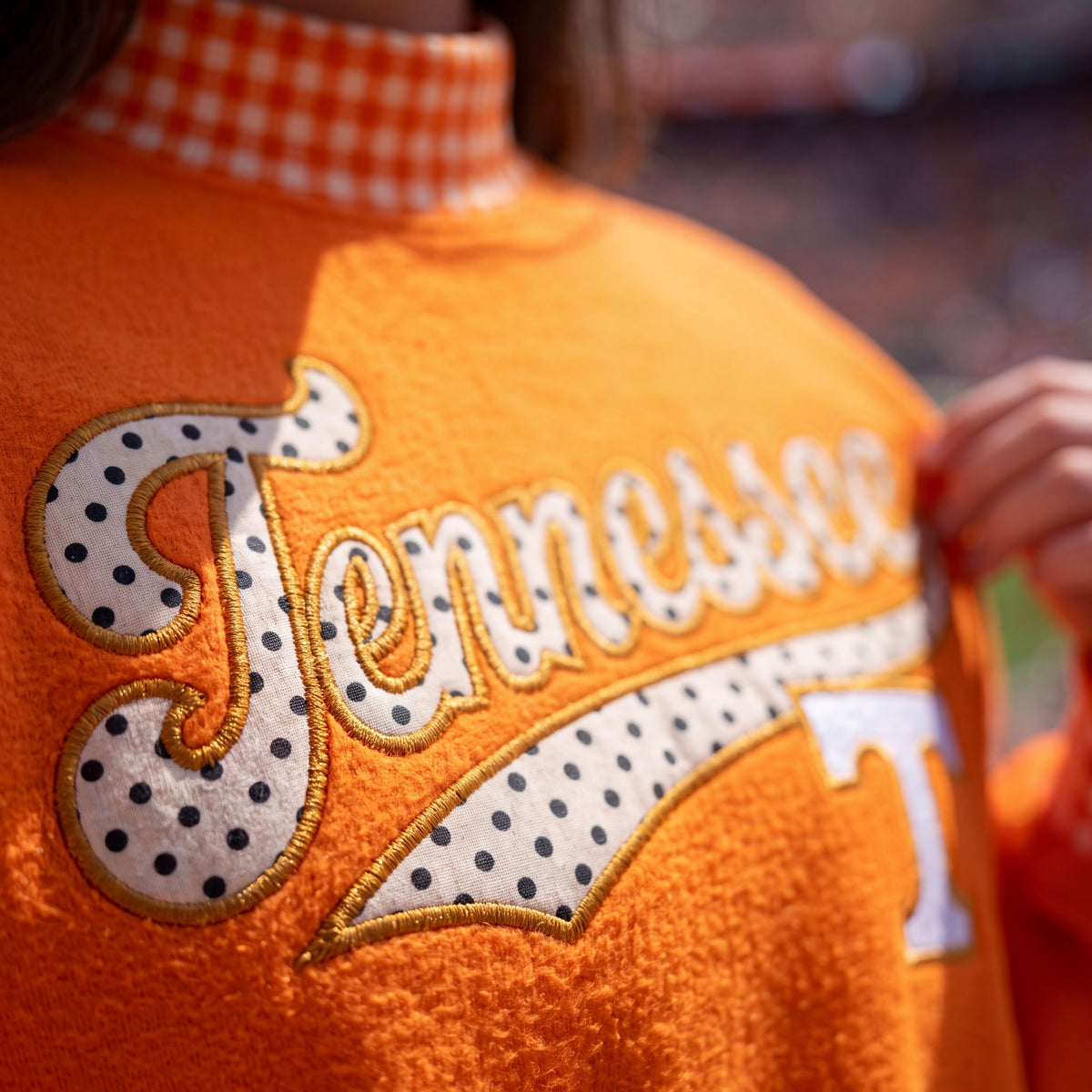 Colleges Appliqué Gingham Mockneck